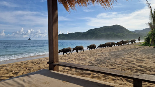 Wat kost investeren in vastgoed op Bali of Lombok écht?
