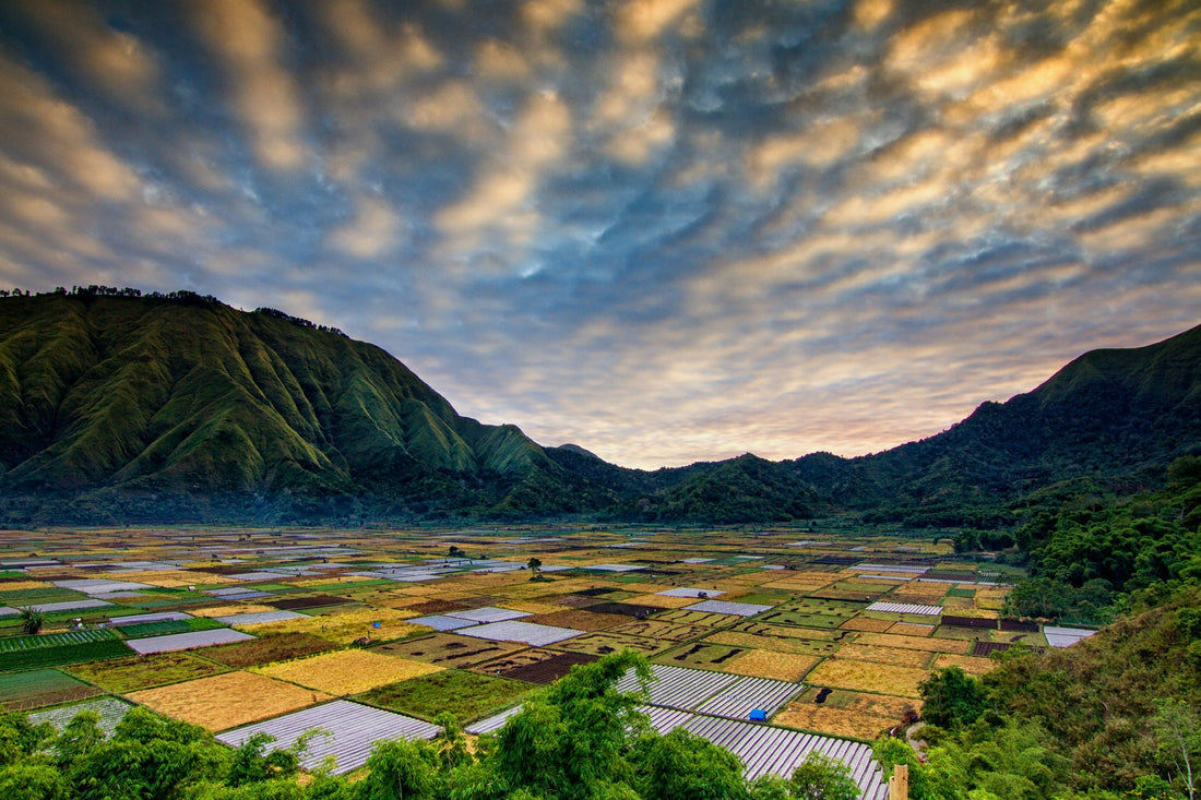 Blue Wave breidt uit naar Lombok: waarom dit moment interessant is voor investeerders